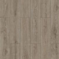 Ламинат Kastamonu Wings 4V WR Parrot