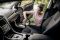 Kärcher - Хозяйственный пылесос WD 2 Plus S V-15/4/18