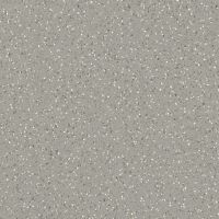 Линолеум Lentex Pioneer 602-13