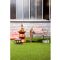 Штучна трава Oryzon Grass Lakeside