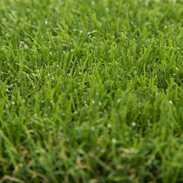 Штучна трава Oryzon Grass Lakeside