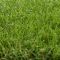 Штучна трава Oryzon Grass Lakeside