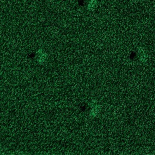 Ковролин AW Pullman