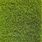 Штучна трава Prettie Grass Magnolia 20