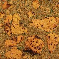 Пробка настенная Egen Atlanta Green