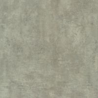 Линолеум Lentex Pioneer Regina S91