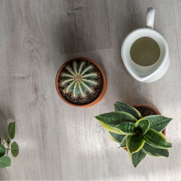 Виниловая плитка Vinilam клеевая Дуб Ален